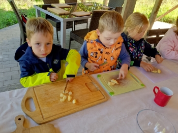 IMG_20250923_110320_406