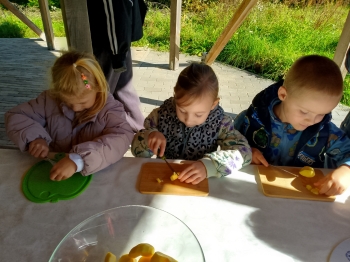 IMG_20250923_110352_109