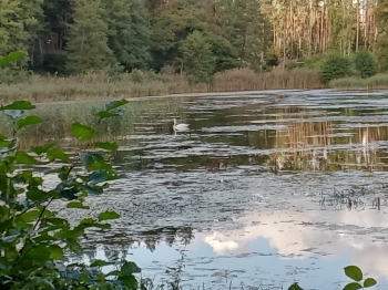 IMG_20250923_123343_235