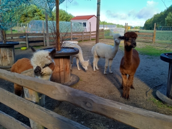 IMG_20251009_104256_849