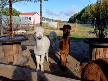 IMG_20251009_104313_127