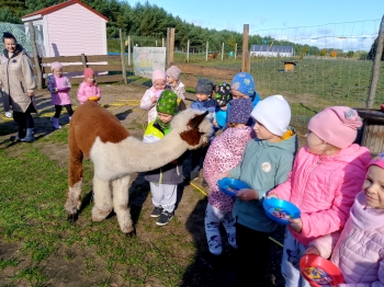 IMG_20251009_105020_860