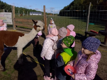 IMG_20251009_105112_294