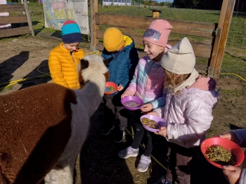 IMG_20251009_105254_000