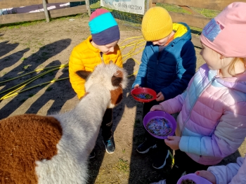 IMG_20251009_105258_308