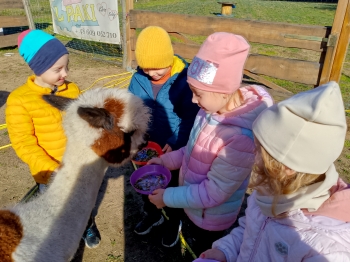 IMG_20251009_105300_298