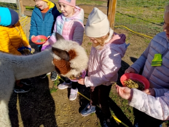 IMG_20251009_105306_784