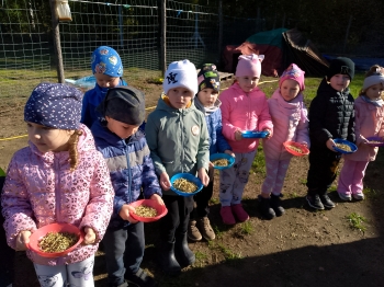 IMG_20251009_105310_397