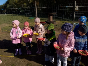 IMG_20251009_105312_618