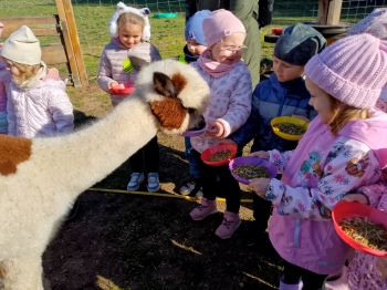 IMG_20251009_105421_684