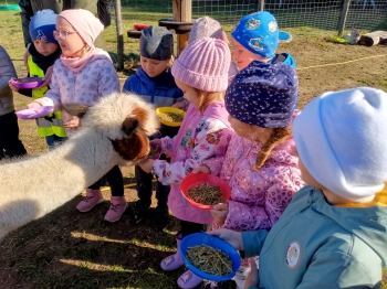 IMG_20251009_105425_654