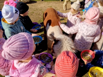 IMG_20251009_105542_549