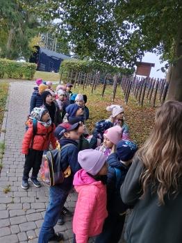 IMG_20251022_131350625_HDR