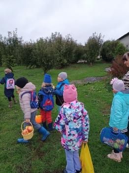 IMG_20251016_101938390