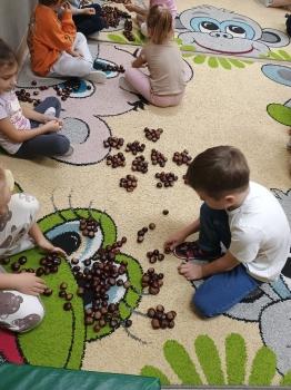 IMG_20251008_092308165